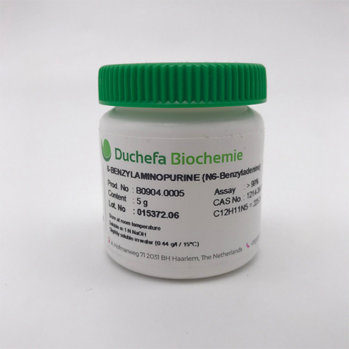 6-Benzylaminopurine (6-Bap) 25gr