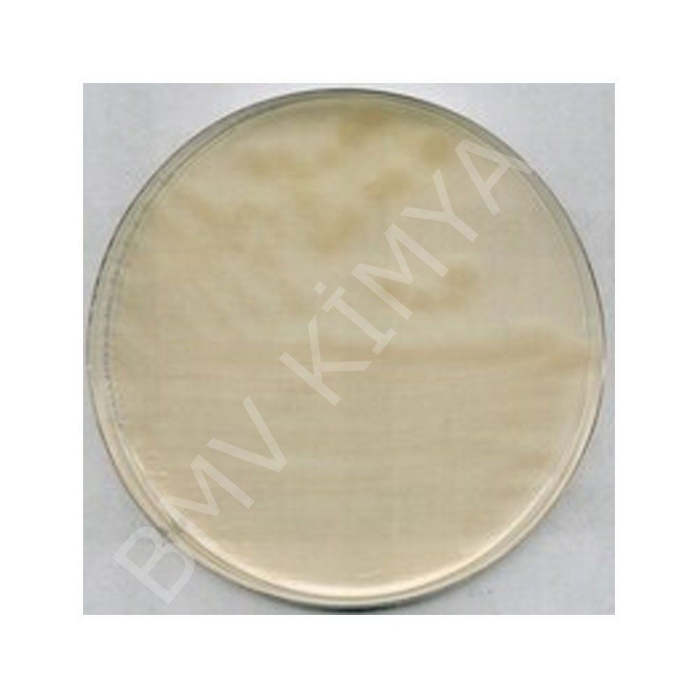 R2A Agar For Microbiology M100416.0500