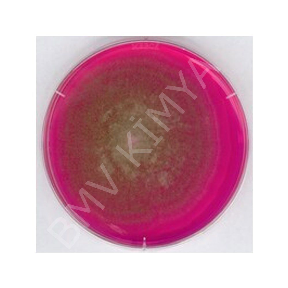 Rose-Bengal Chloramphenicol Agar (Rbc) For Microbiology M100467.0500
