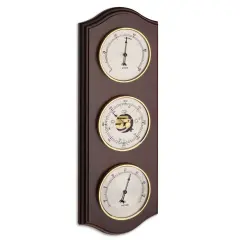 Ceviz Analog Hava İstasyonu