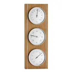 Meşe Analog Hava İstasyonu