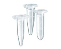 Eppendorf Tüp (Pp) 1,5 Ml