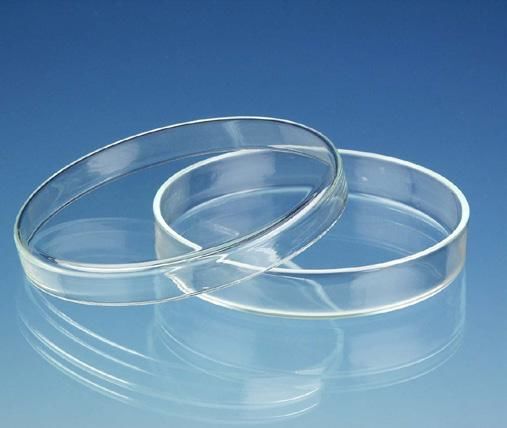 Petri Kutusu 120 X 25 Mm
