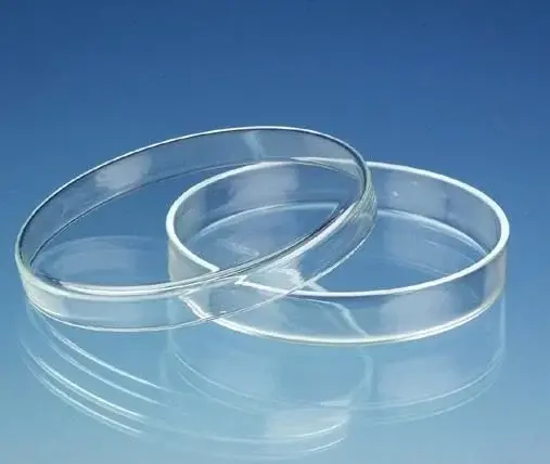 Petri Kutusu 120 X 25 Mm