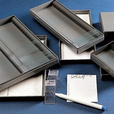 Lam Saklama Kutusu (ps) 25 Lam