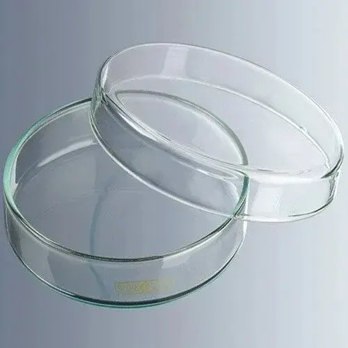 Petri Kutusu 60x15 Mm, Cam