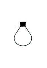 Rotapavör BALONU Buharlaştırma NS 29/32 250