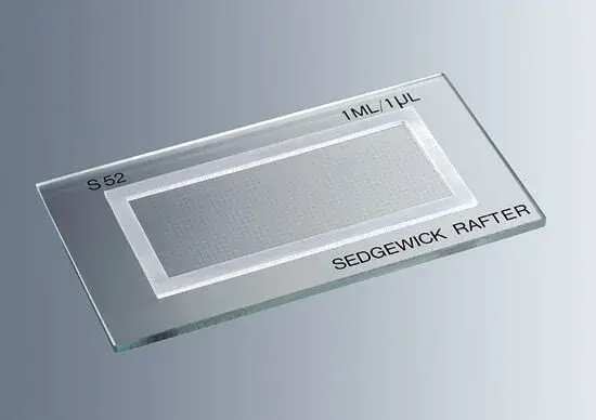 Sedgewick Rafter Lamı, Cam