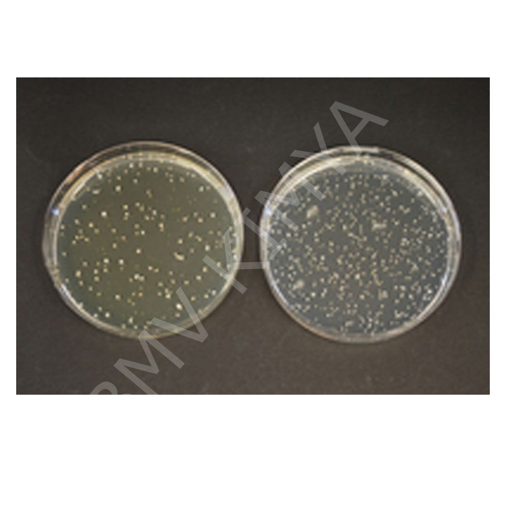 Tos-Propionate Agar M100043.0500
