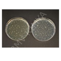 Tos-Propionate Agar M100043.0500