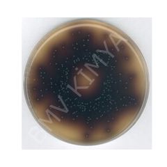 Bile Aesculin Azide Agar, Acc. To Iso 7899-2 For Microbiology M100072.0500