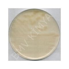 R2A Agar For Microbiology M100416.0500