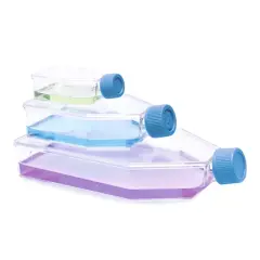 Şişe - Hücre Kültürü - Kapalı Kapaklı - 75 Cm2 - 25 Ml
