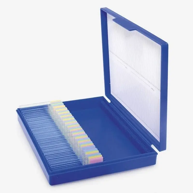 Lam Kutusu - 100 Lam Kapasiteli - Plastik Kilitli - Mor