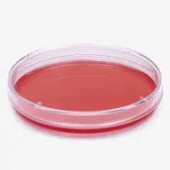 Petri Kutusu - P.s - 90 X 17 Mm - Steril A