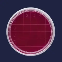 Petri Kutusu Rodak - 60 Mm - Steril A