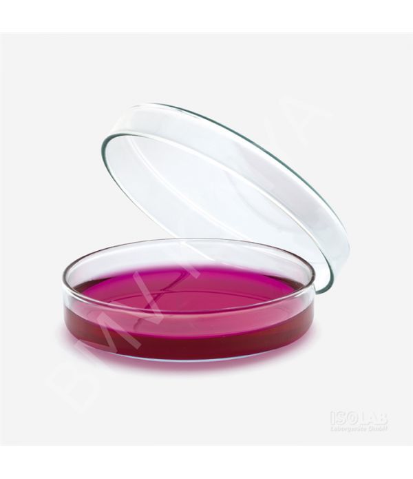 081.01.120 Petri Kutusu - Cam - 120 X 20 Mm 18 Adet / Paket