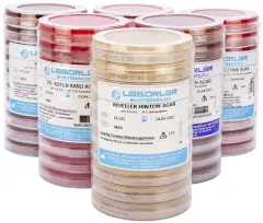 Legıonella Gvpc Agar 10 Adet X 60 Mm