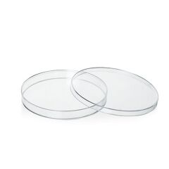 Plastik Petri Kabı Gama Steril 150 mm  10 AD / 1 PK