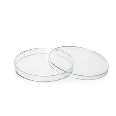 Plastik Petri Kabı Gama Steril 120 mm 10 AD / 1 PK