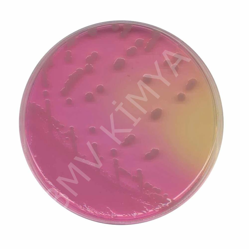Burkholderıa Cepacıa Agar Base 500G Cm0995B