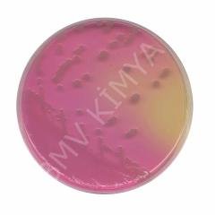 Burkholderıa Cepacıa Agar Base 500G Cm0995B