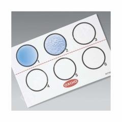 Legıonella Specıes Test Kıt 1 X 50 Tests Dr0803M