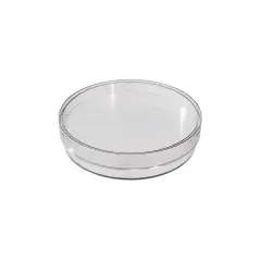 Petri 60 Mm Steril