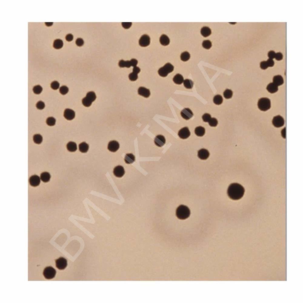S. Aureus Atcc 25923 Pk/5 R4607010
