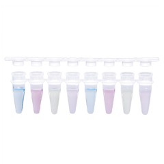 Pcr Şeriti - Demonte Düz Kapaklı - 8 X 0,2 Ml Tüp Şeriti