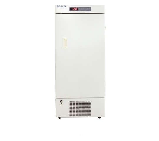 Dikey Tip Dondurucu -25 °C 270 LT